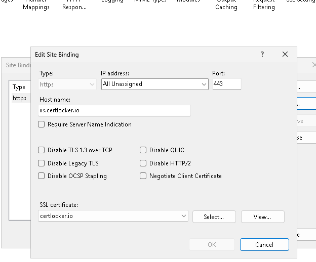 IIS HTTPS binding showing installed CertLocker certificate