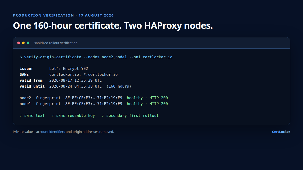 Sanitized terminal-style production verification showing the same 160-hour Let's Encrypt certificate fingerprint, apex and wildcard names, healthy status, and HTTP 200 checks on both HAProxy nodes