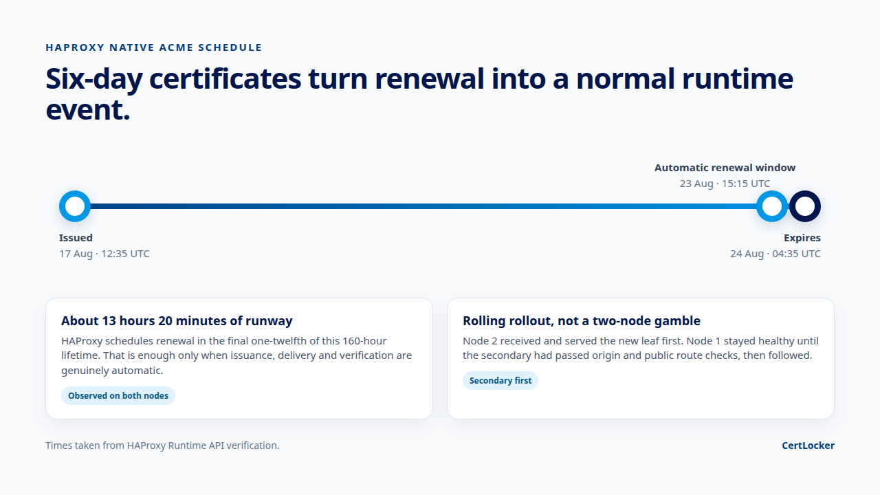 Timeline showing a 160-hour certificate issued on August 17, automatic HAProxy renewal scheduled for August 23, and expiry on August 24, with a secondary-first two-node rollout